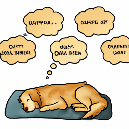 How Dogs Sleep