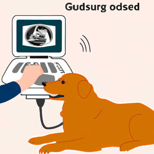 How Much Are Ultrasounds for Dogs?