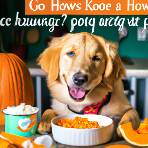 How Much Pumpkin For Dogs A Caregiver s Guide One Top Dog how-much-pumpkin-to-give-a-10-lb-dog