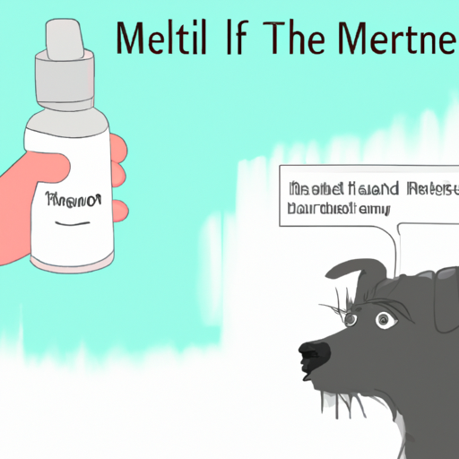 How to Get Rid of Ear Mites in Dogs