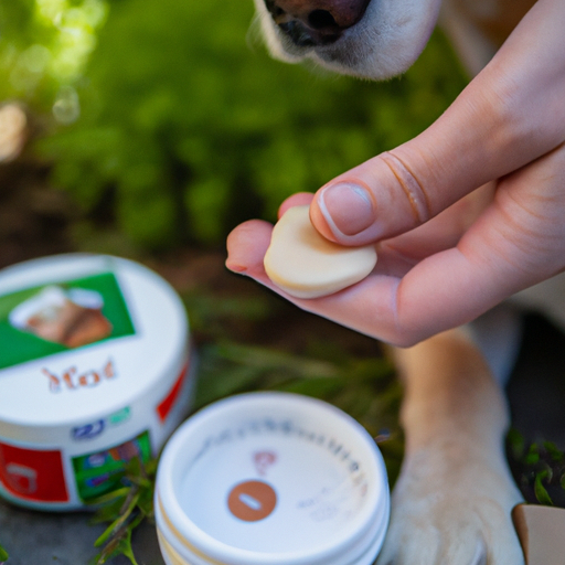 How to Heal a Dog’s Paw Pad