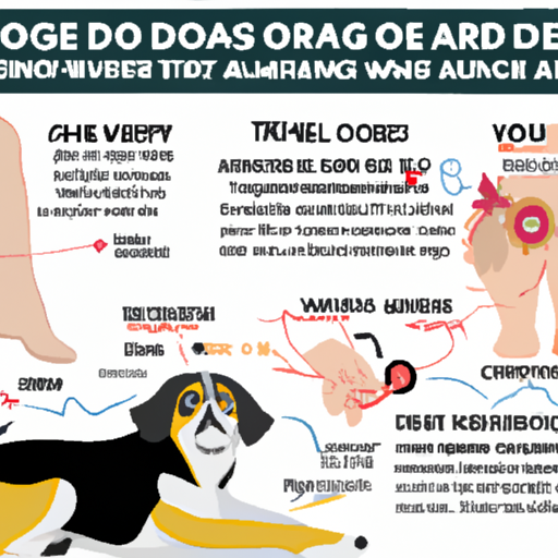 How to Tell if a Dog’s Leg is Broken