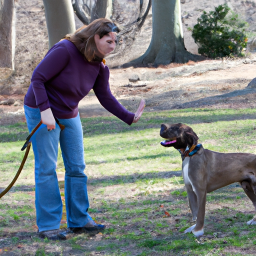 How to Train Reactive Dogs
