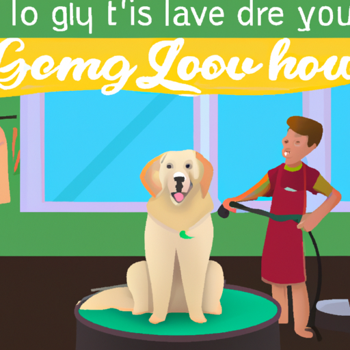 Learn How to Groom Dogs