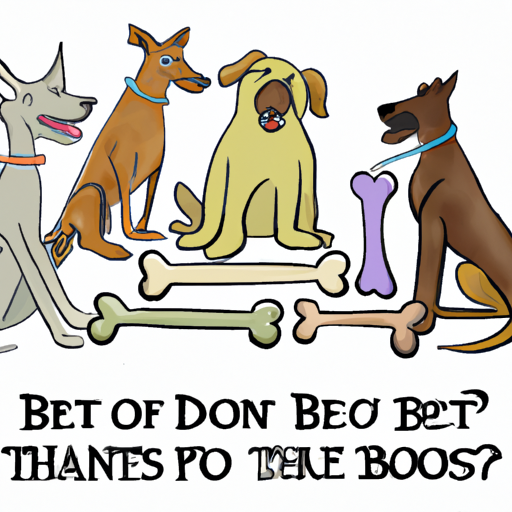 What Bones are Best for Dogs?