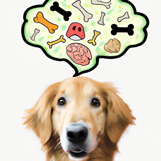 What Do Dogs Think One Top Dog