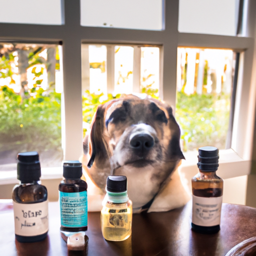 What Essential Oils Are Good for Dogs?