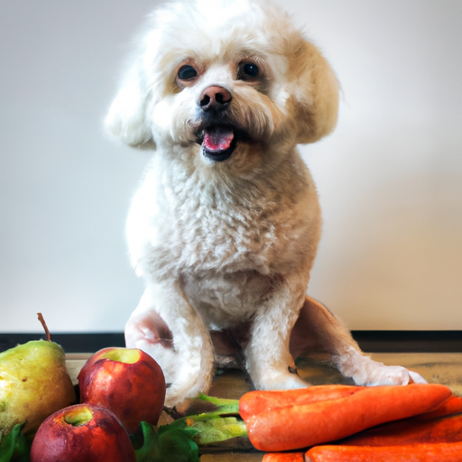 What Food Can Dogs Have?
