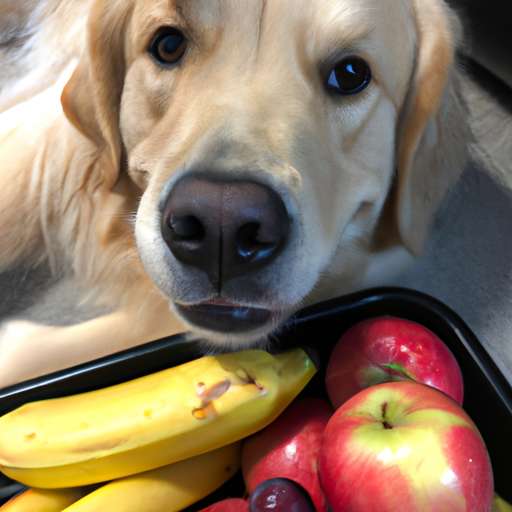 What Fruit Can Dogs Have?