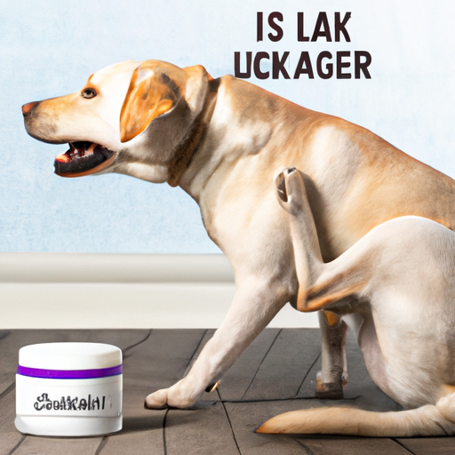 What Helps Dogs Itchy Skin