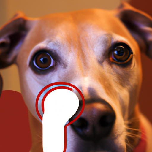 Why Are My Dog’s Eyes Red and Watery?