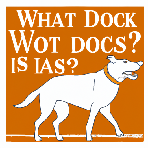 Why Do Dogs Attack?