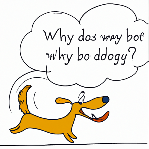 Why Do Dogs Chase Their Tails?