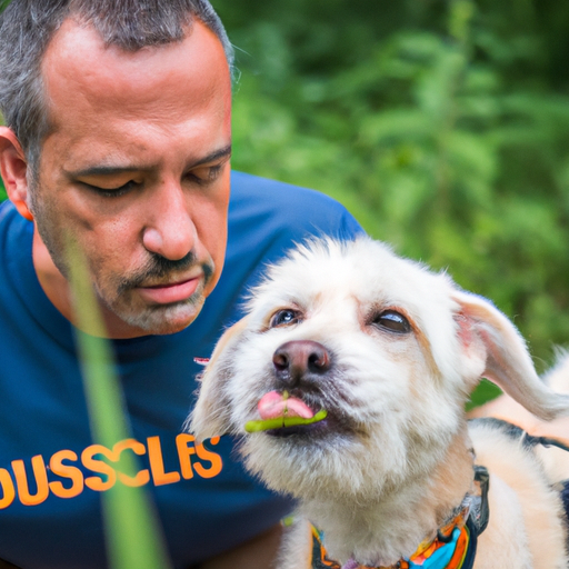 Why Do Dogs Eat Grass On Walks?