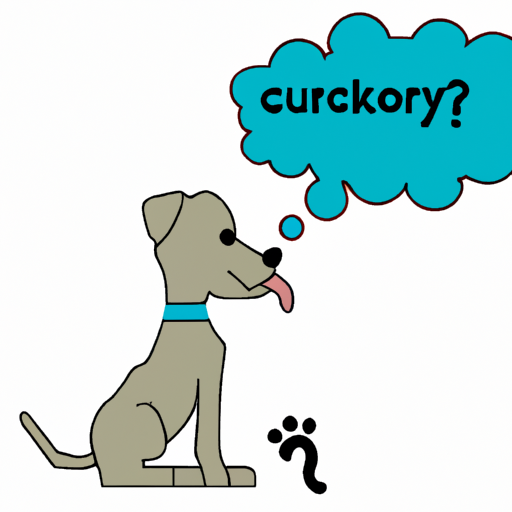 Why Do Dogs Lick Their Paws