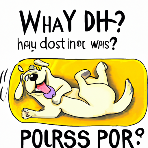 Why Do Dogs Purr?
