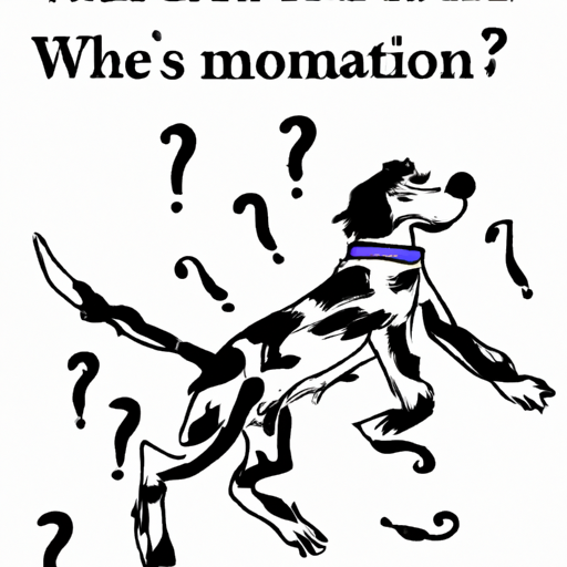 Why do Dogs Shake Their Body?
