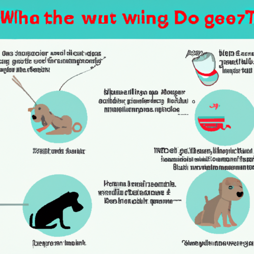 Why Do Dogs Throw Up After Drinking Water?
