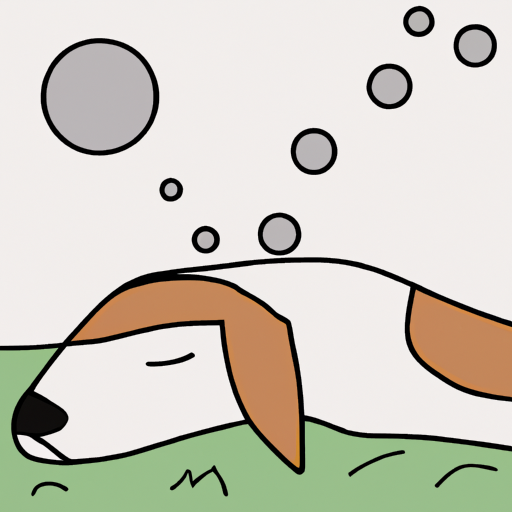 Why Does My Dog’s Face Twitch in His Sleep?