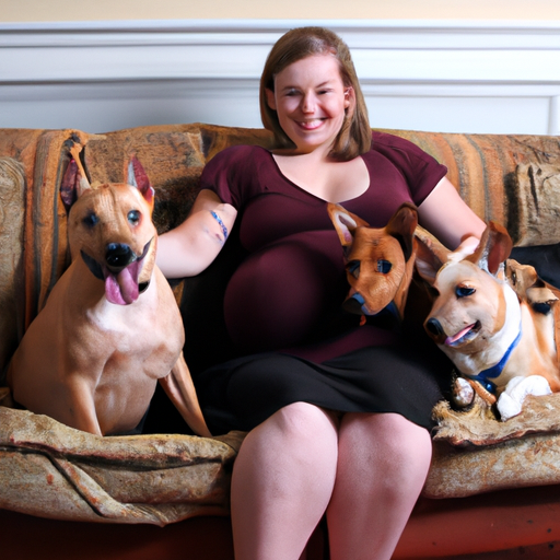 do dogs get clingy when you are pregnant