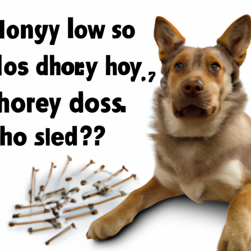 how many rabies shots do dogs need