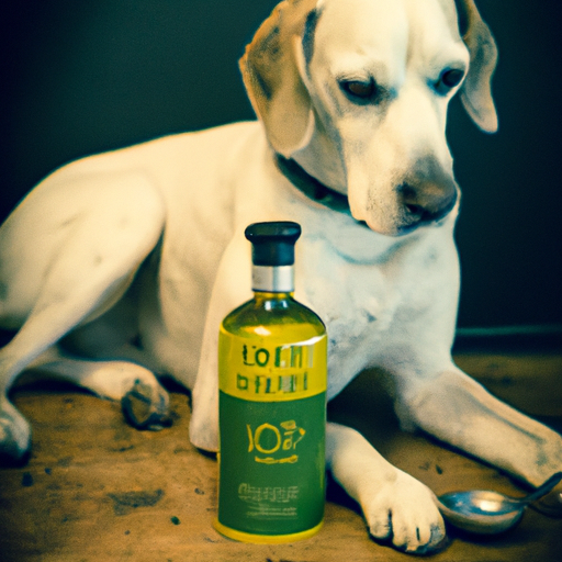 how much olive oil for dogs