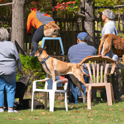 how to keep dogs from peeing on furniture