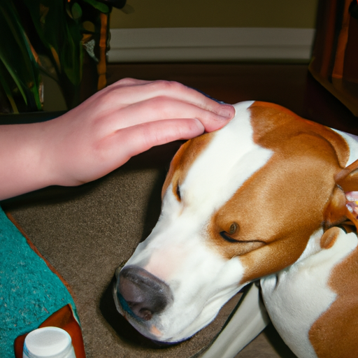 how to soothe dogs red itchy ears