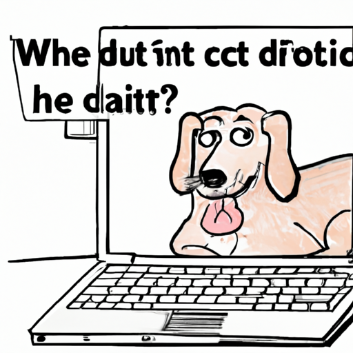 Comprendre les infections urinaires chez le chien : causes, symptômes et traitement