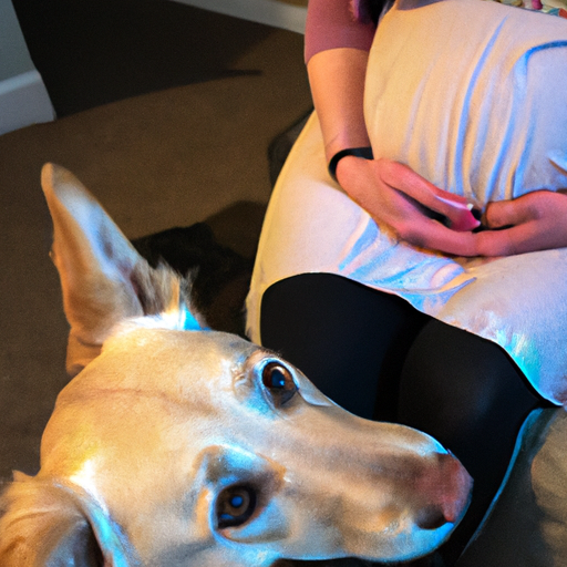 what do dogs do when they sense your pregnant