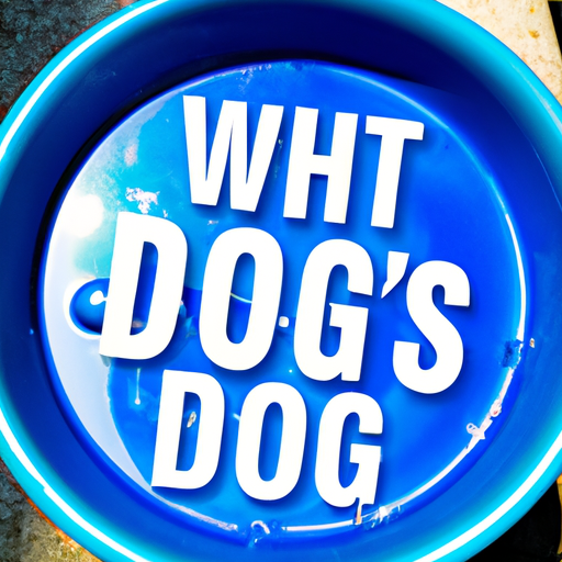 Que boivent les chiens : un guide complet sur l’hydratation canine