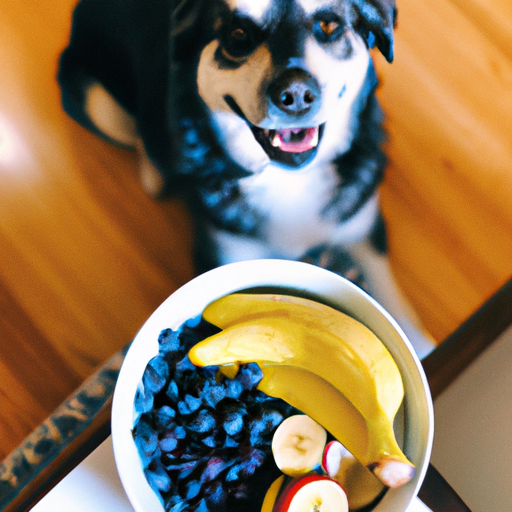 what fruit is good for dogs