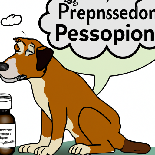Comprendere l’uso del Prednisone nei cani