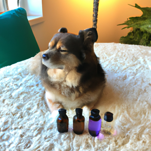 Una guía para una difusión segura: cómo utilizar los aceites esenciales en perros