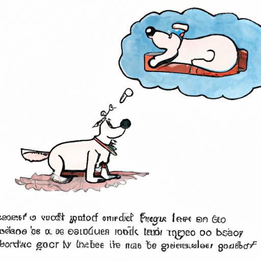 Qué significa el comportamiento de tu perro: una guía completa