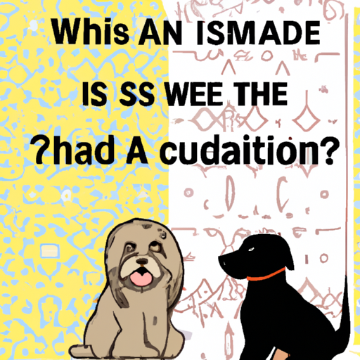 why are dogs haram but not cats