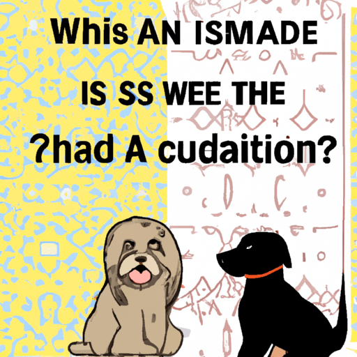 Why Are Dogs Haram But Not Cats One Top Dog