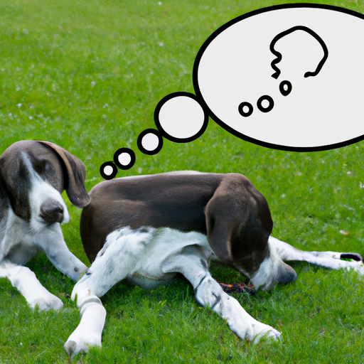 Understanding Canine Behavior: Why Do Dogs Bite Each Other’s Legs?