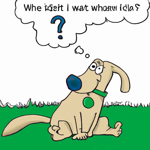 why do dogs chew on paws