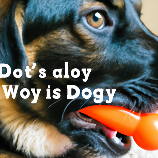 why do dogs lick their toys