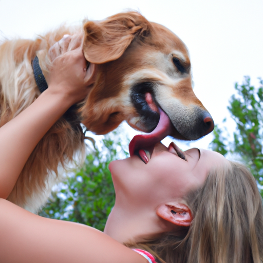 why do dogs like licking faces